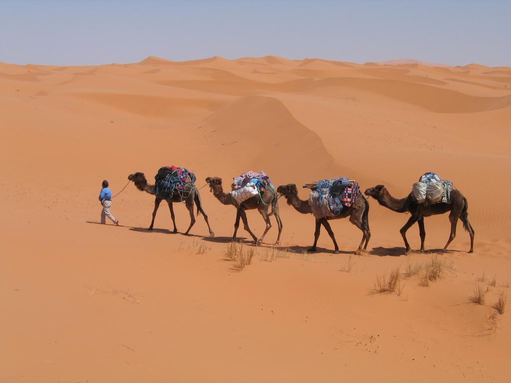 Camel Trek Bivouac Hotel Merzouga Room photo