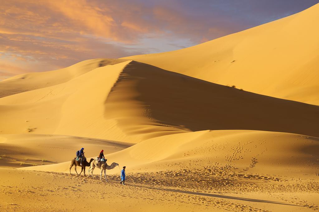 Camel Trek Bivouac Hotel Merzouga Room photo